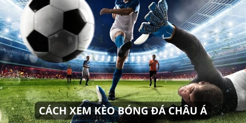 Một số điều cần lưu ý trong Cách đọc kèo bóng đá châu Á